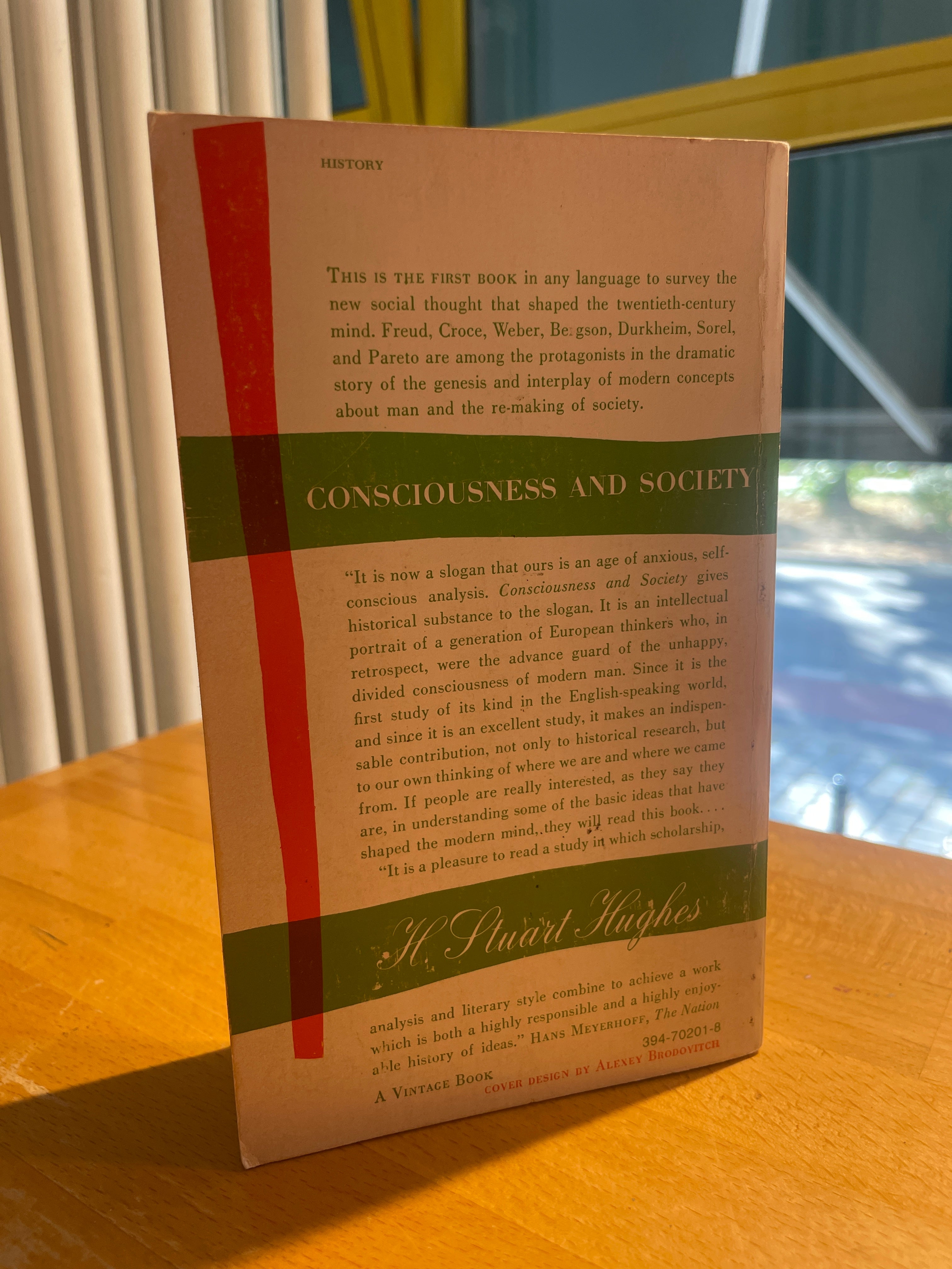 Consciousness and Society