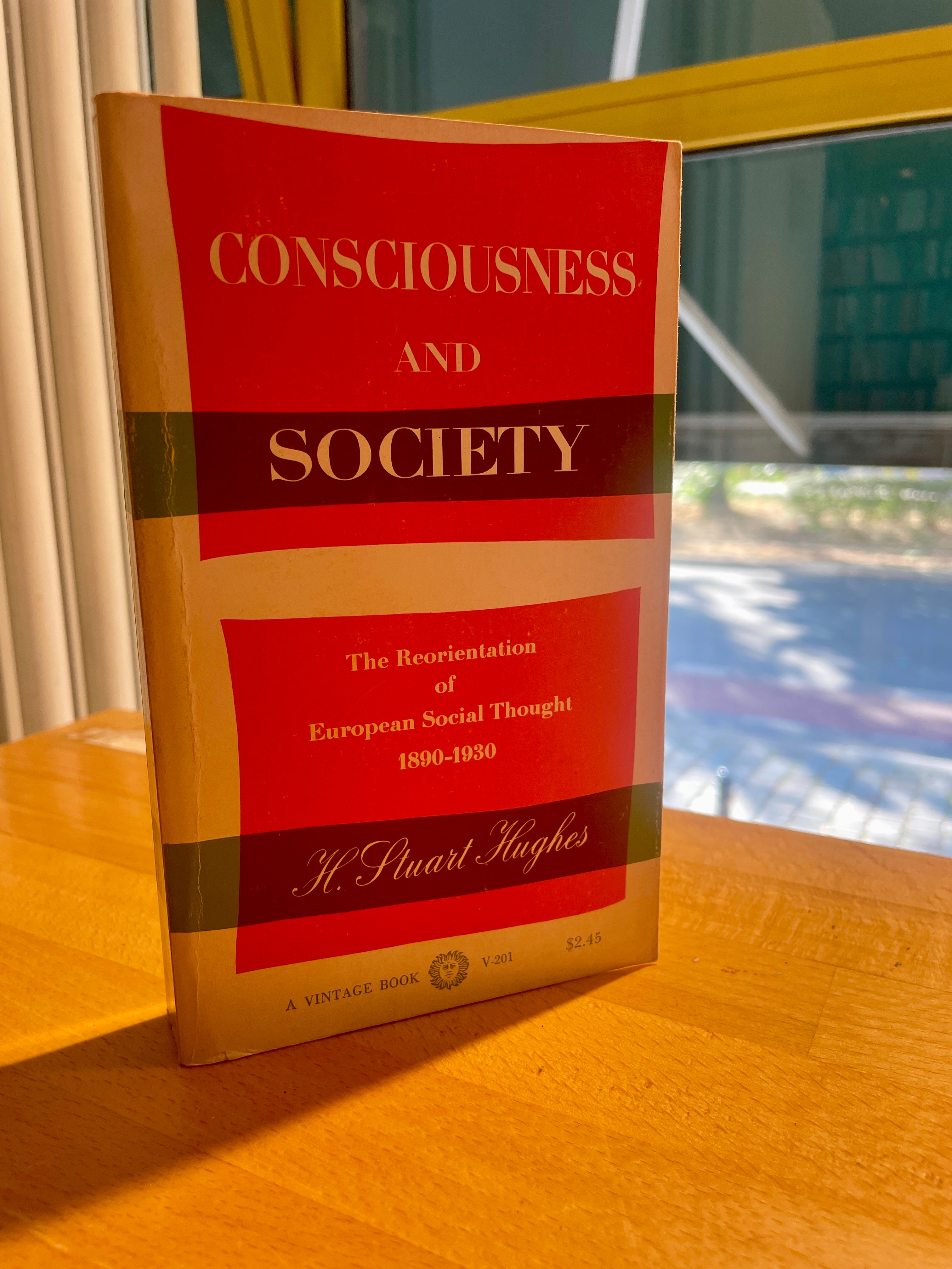 Consciousness and Society